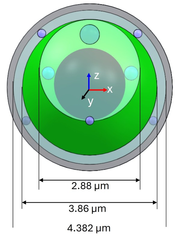 Eukaryotic microalgae cell compartments