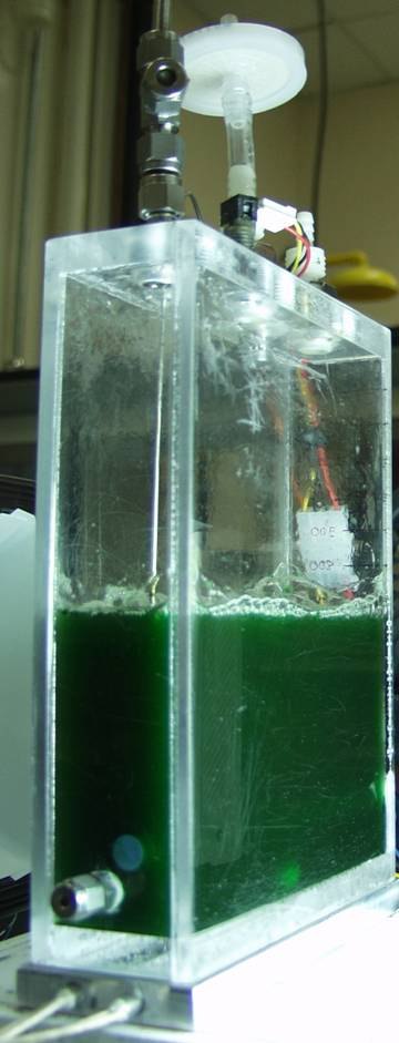 Figure from the explainer: Photobiological hydrogen production from cyanobacteria Anabaena variabilis