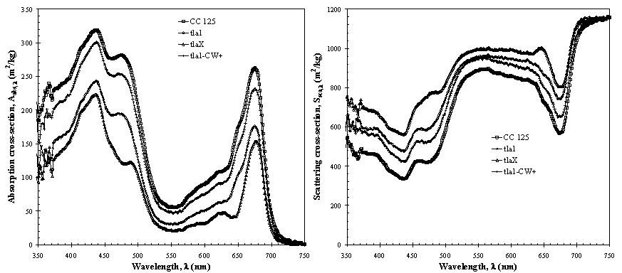 Figure 2. Absorption and scattering cross-sections of the green algae C.reinhardtii CC 125 and its truncated chlorophyll antenna transformants tla1, tlaX, and tla1-CW+ (Berberoğlu et al., 2008).