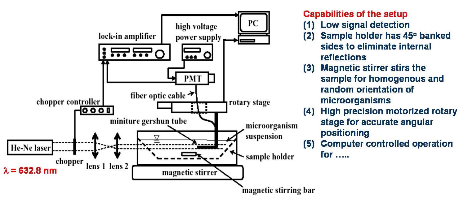 Figure from the explainer: Radiation characteristics of photosynthetic biofuel producing microalgae