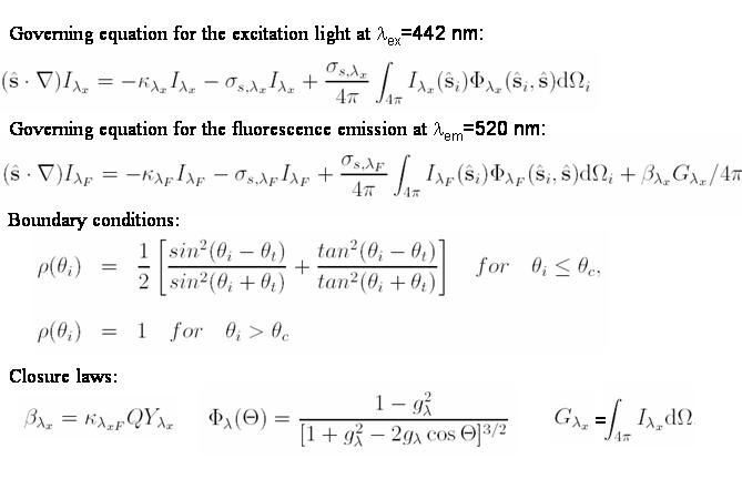 Figure from the explainer: Steady-state directional reflectance and fluorescence of human skin