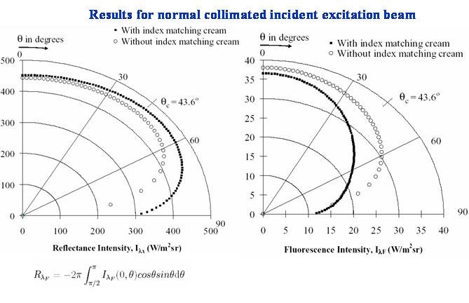 Figure from the explainer: Steady-state directional reflectance and fluorescence of human skin