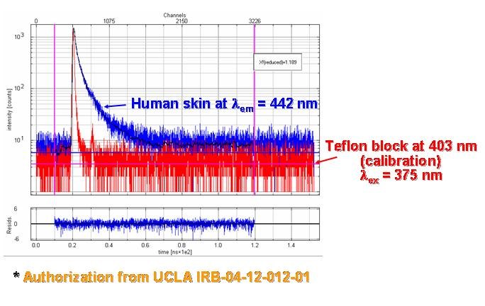 Figure from the explainer: Time-resolved fluorescence of human skin