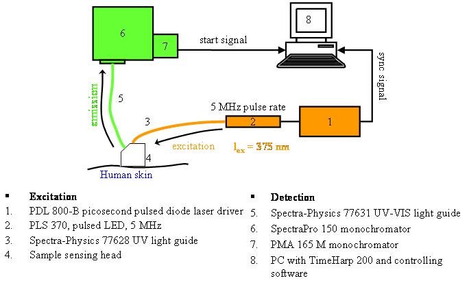 Figure from the explainer: Time-resolved fluorescence of human skin