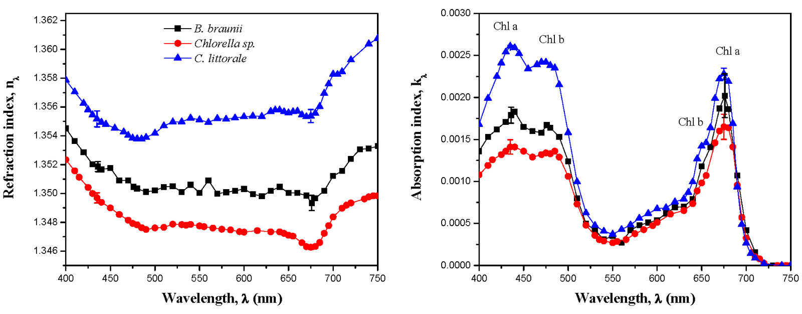 Fig. 3. Comparison of the retrieved refraction and absorption indices between 400 and 750 nm for B. braunii, Chlorella sp., and C. littorale.