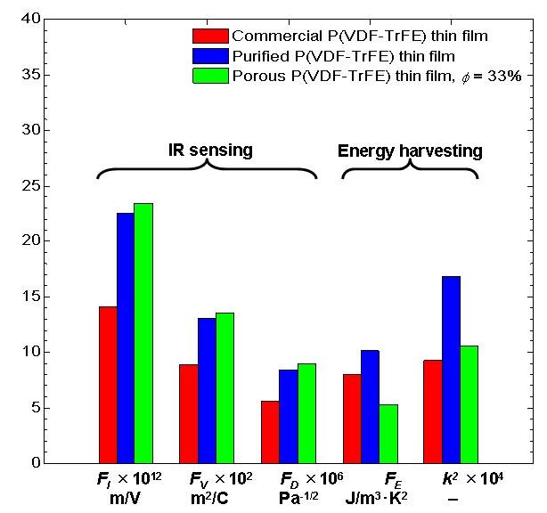Figure from the explainer: Synthesis and characterization of dense and porous P(VDF-TrFE) films