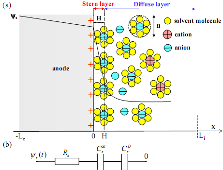 Fig. 1. Schematic of (a) the electric double layer structure showing the arrangement of solvated anions and cations near an anode/electrolyte interface and the simulated computational domain consisting of the Stern layer