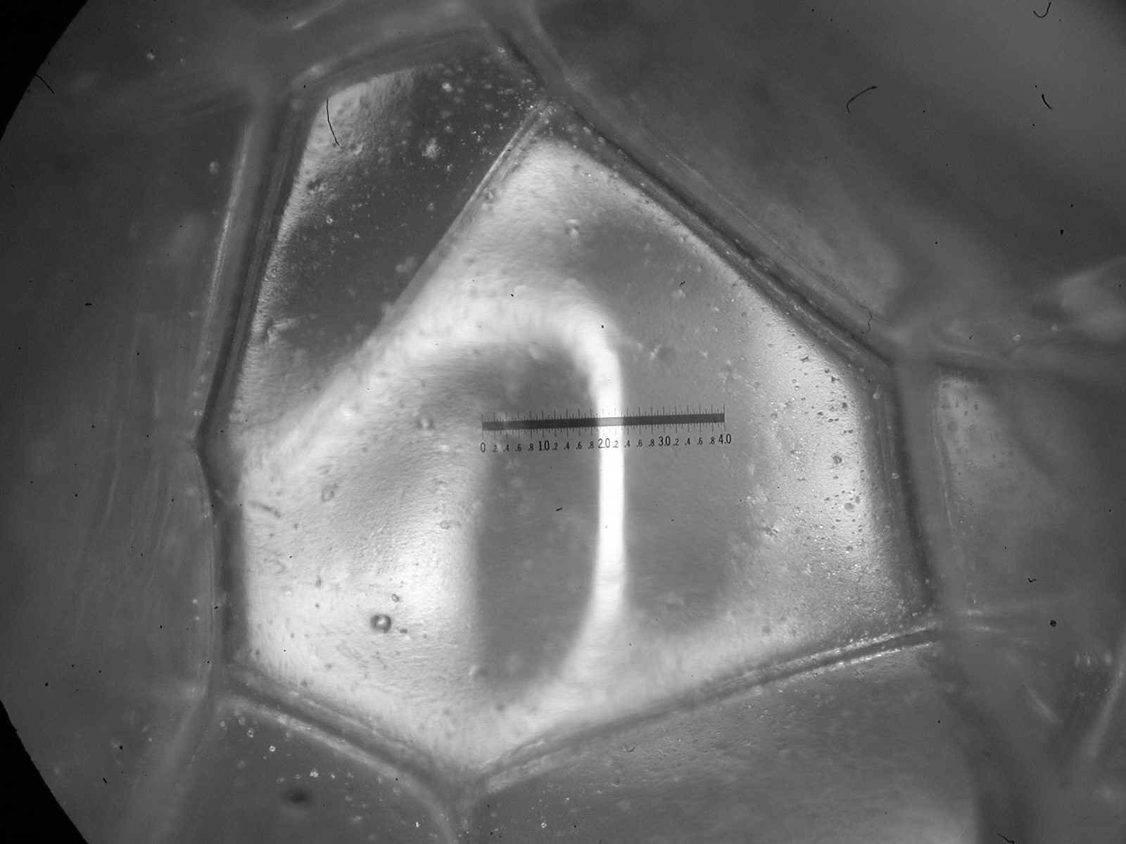 Figure 2: Morphology of lamellae of polyhedral bubbles in closed-cell rigid polyurethane foam by optical microscopy.