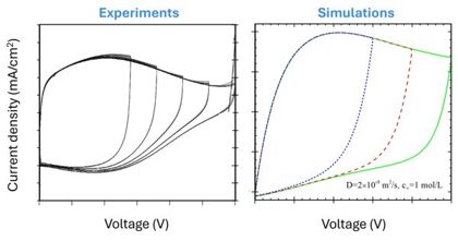 Physical interpretation of cyclic voltammetry from EDLCs