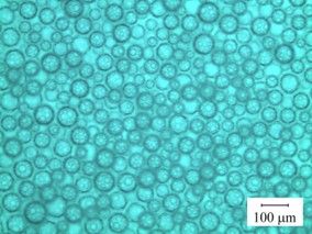 Rheology of microfoams