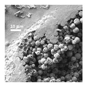 Phase change composite materials for energy efficient building envelopes