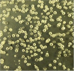 Radiation transfer of semitransparent media containing bubbles