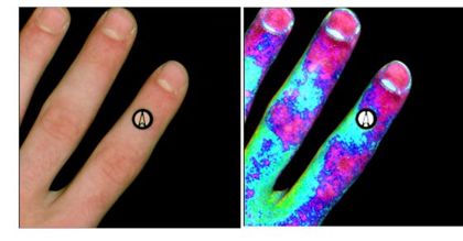 Oxygen saturation, melanin content, and epidermis thickness from diffuse reflectance