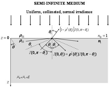 Diffuse reflectance of semi-infinite and two-layer absorbing and scattering media
