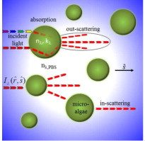 Graphical abstract
