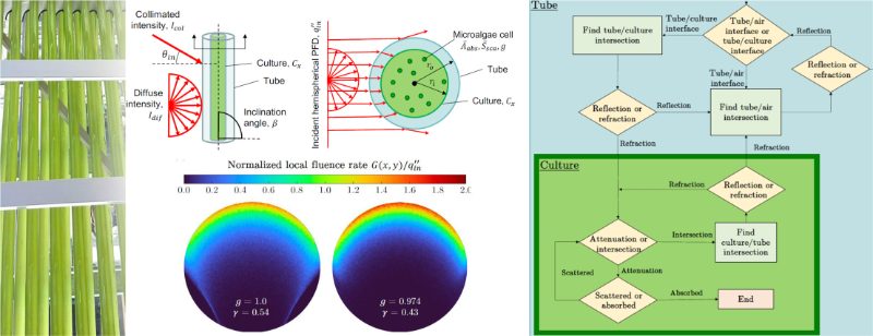 Graphical abstract