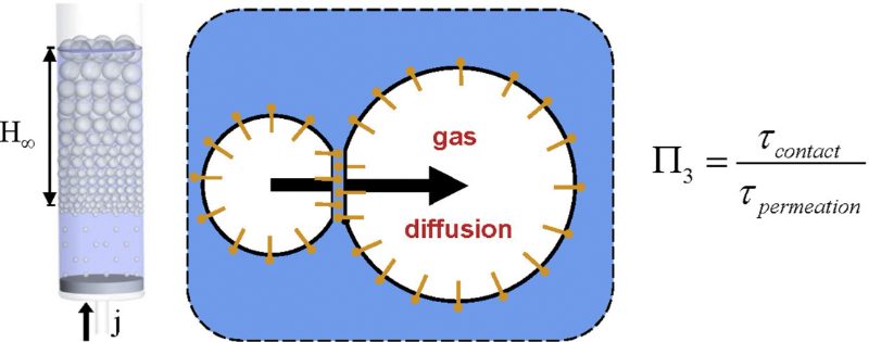 Graphical abstract