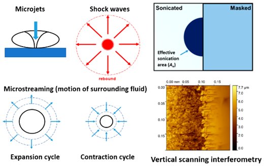 Graphical abstract