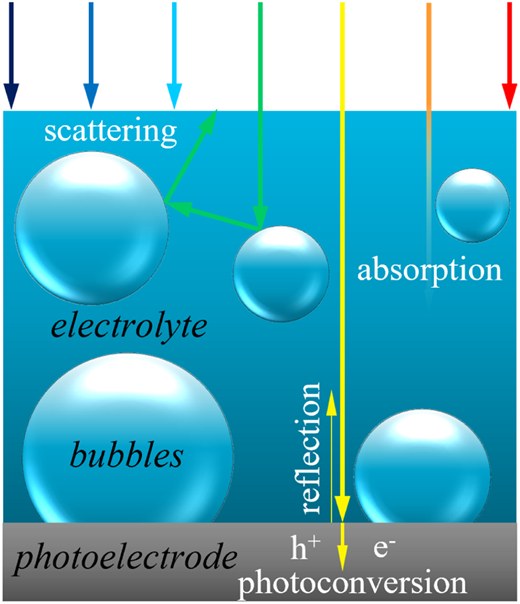 Graphical abstract