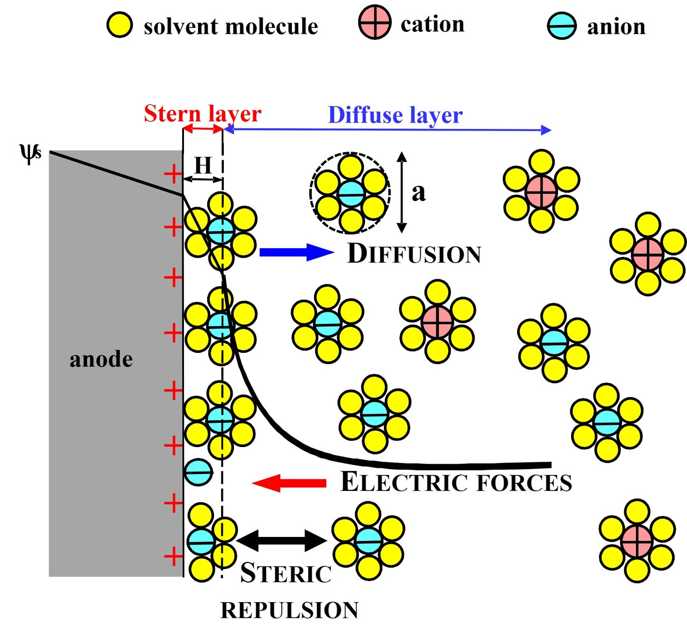 Transport of solvated ions driven by electrostatic forces due to the electric potential gradient, diffusion due to the ion concentration gradient, and steric repulsion due to the finite size of the ions. Cations and anions may differ in size and valency [1].