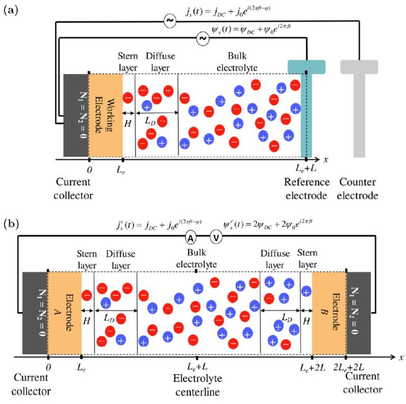 Schematics of the simulated one-dimensional EDLC electrode in a three-electrode setup and of an EDLC device with two identical electrodes.