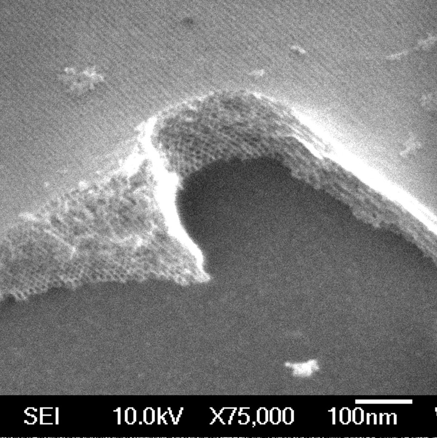 Mesoporous materials