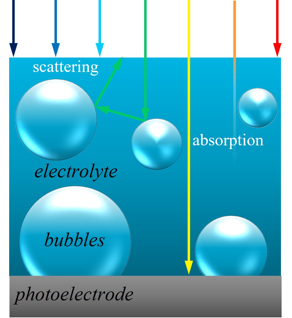 Polydisperse spherical bubbles dispersed in the electrolyte volume and cap-shaped bubbles attached to the photoelectrode surface with contact angle θc [16].
