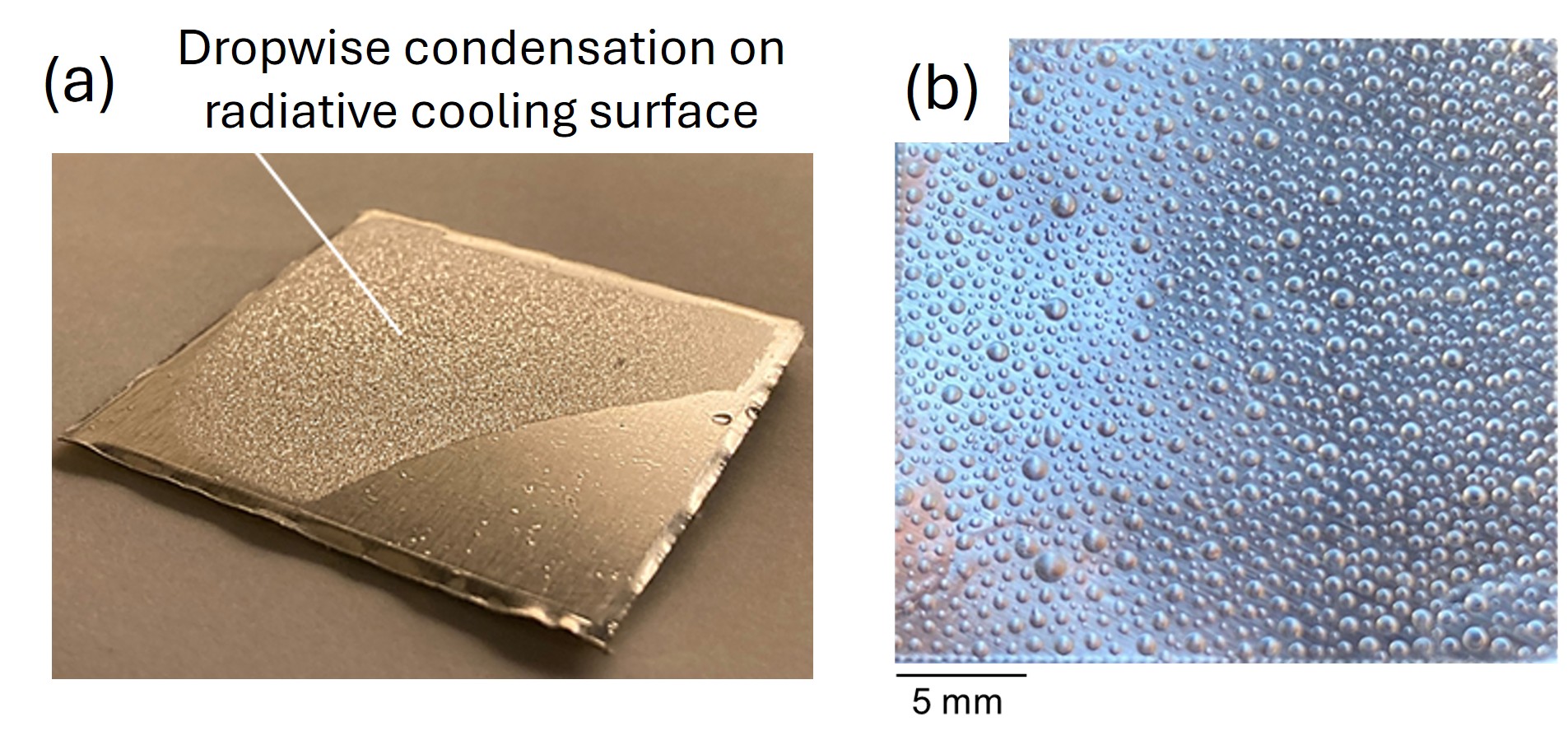 (a) Example of condensate water droplets on the radiative cooling surface. (b) Acrylic polymer droplets on a radiative cooling surface simulating condensation [14].